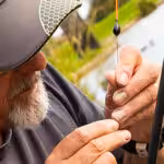 Fishing Line Don Amott Parks Squares