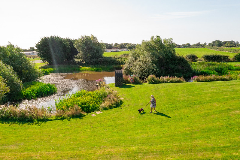 A woman walking her dog on a field in a Don Amott Park