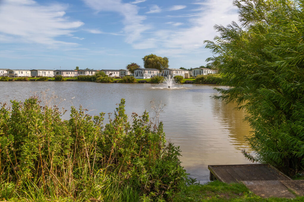 Willows park lake and trees