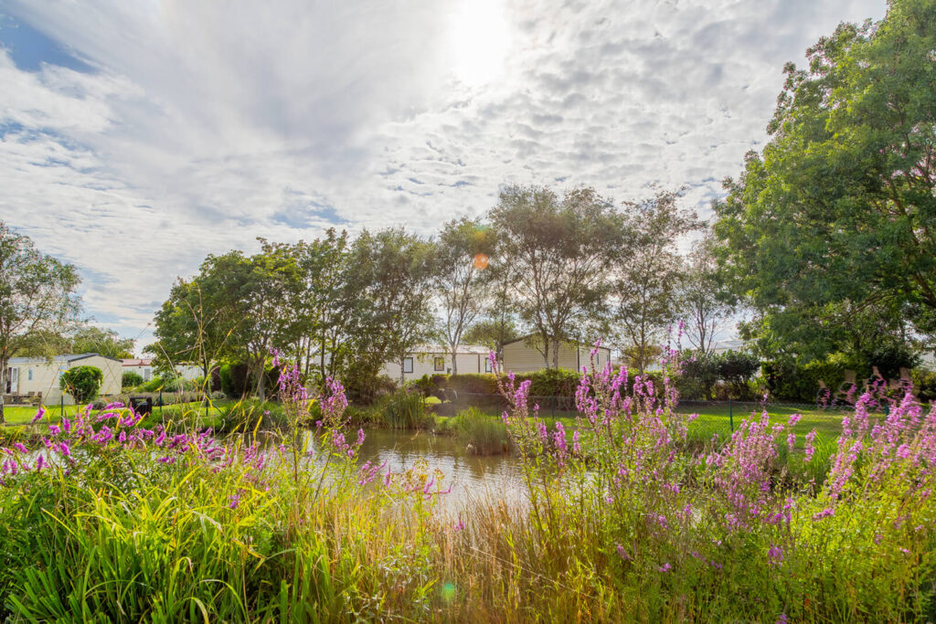 A photo of Whispering waters holiday park lake surrounded by flowers