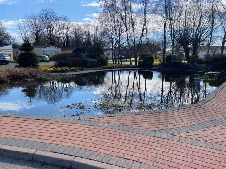 WP Pond