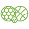 Green icon of different sport balls, football, basket ball and a tenis ball