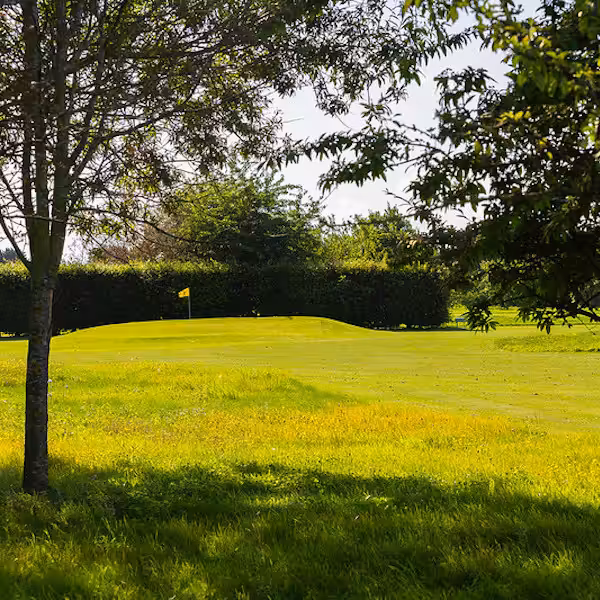 A golf course