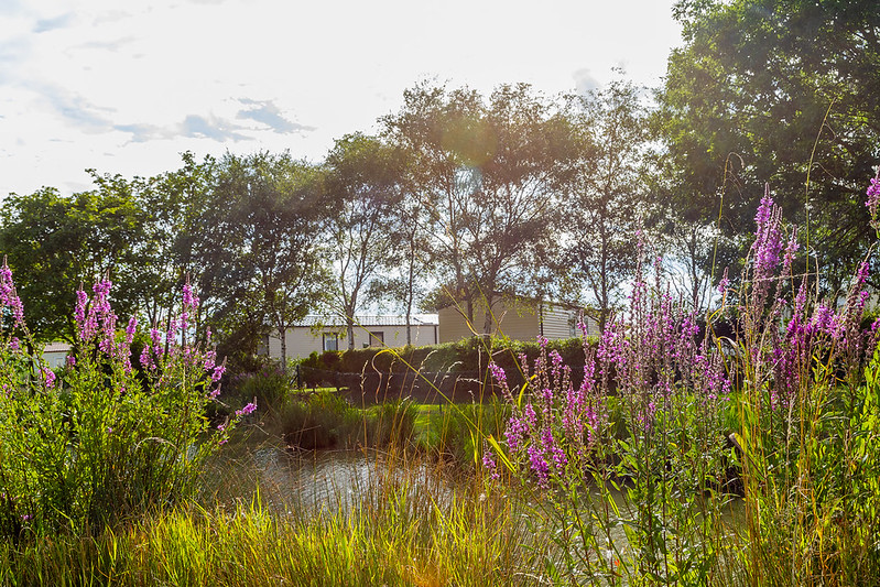 whispering-waters-park-overview-image