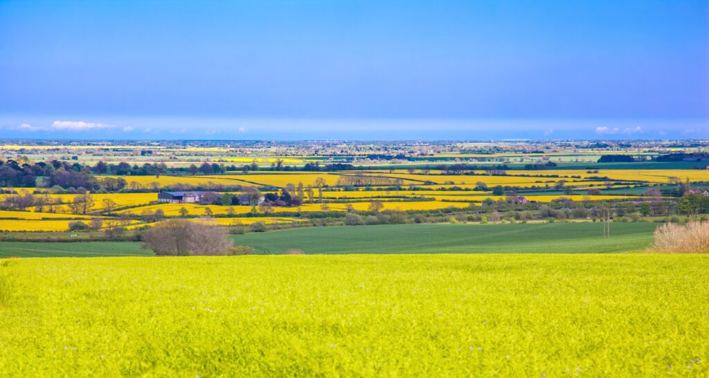 Lincolnshire Wolds