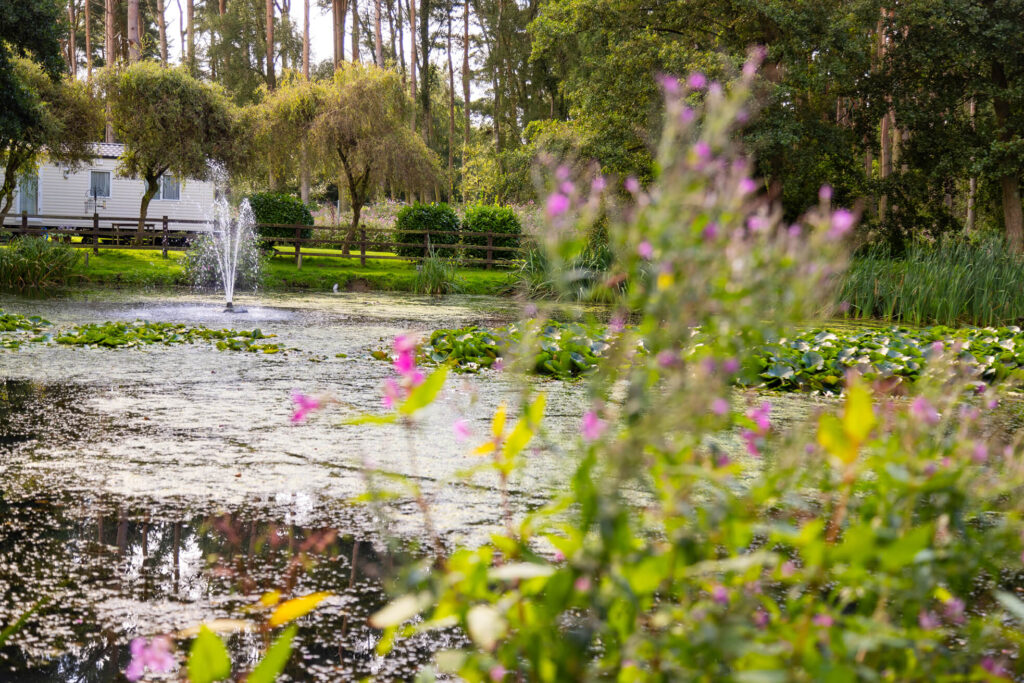 Nettleton Park Nature Lake