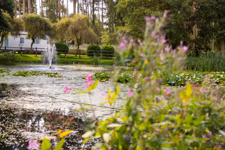 Nettleton park lakes with flowers