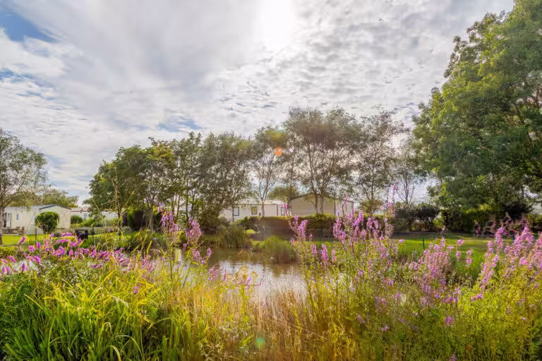 whispering water park lake with flowers